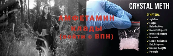 прущие грибы Алексин