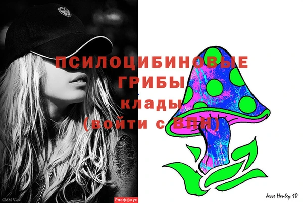прущие грибы Алексин