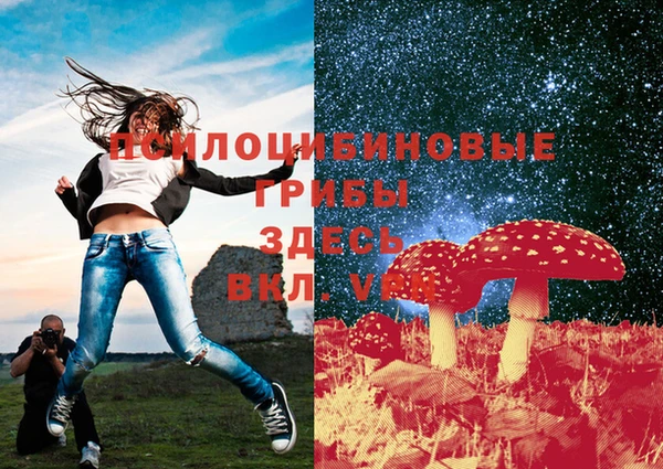 марки nbome Алзамай
