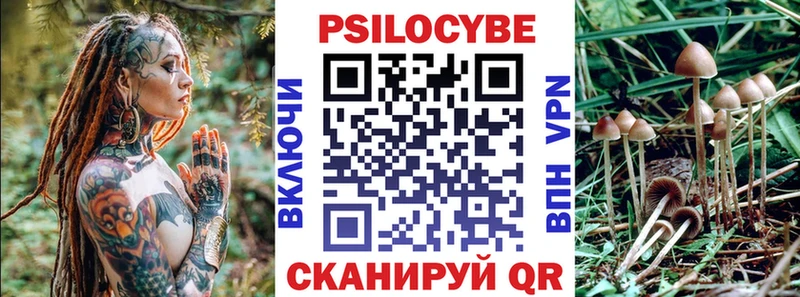 Псилоцибиновые грибы мицелий  omg рабочий сайт  Северская 