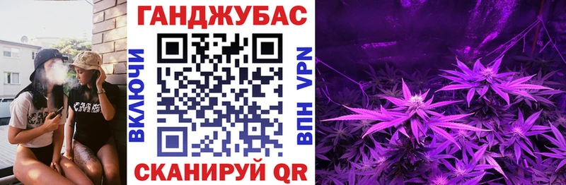 Бошки Шишки конопля  Северская 
